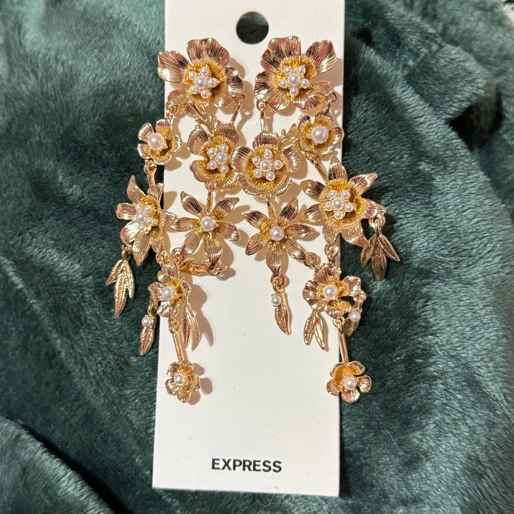 NWT Express Earrings